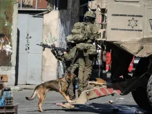 Violence Erupts at Al-Aqsa Mosque and West Bank Olive Groves