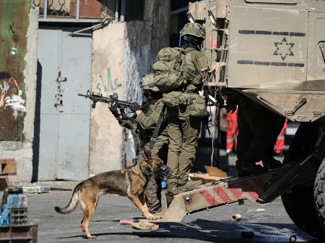 Violence Erupts at Al-Aqsa Mosque and West Bank Olive Groves